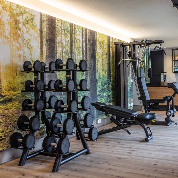 Hotel Nordik_Andalo-palestra-new-2